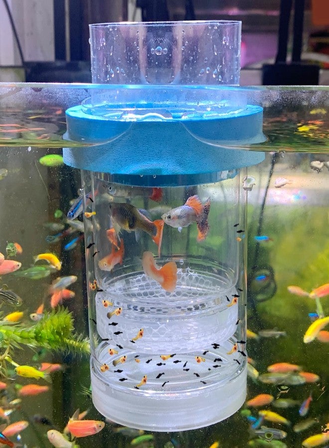 NestBasics middlefloatingbreederbox Breeder Box for Fish Tank Isolation Aquarium Separator Hatchery Incubator for Guppy Baby Betta Saltwater Clownfish Coral Aggressive or Injured Fish (Middle Two-Piece Set) - Image 1